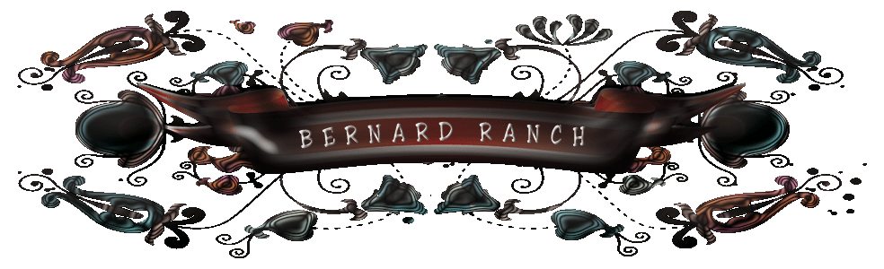 Logo Bernard Ranch